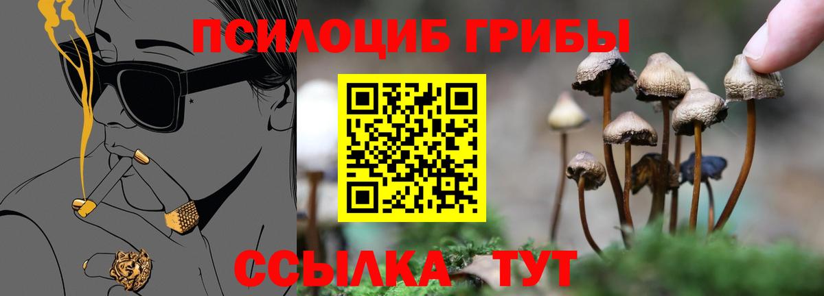 Псилоцибиновые грибы прущие грибы Долгопрудный