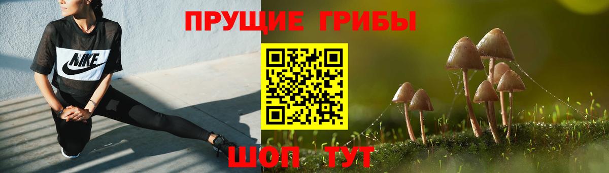 закладка  Галлюциногенные грибы MAGIC MUSHROOMS  Вход с VPN  Долгопрудный 